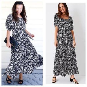 Ann Taylor New With Tags Leopard Print Dress XXS Petite